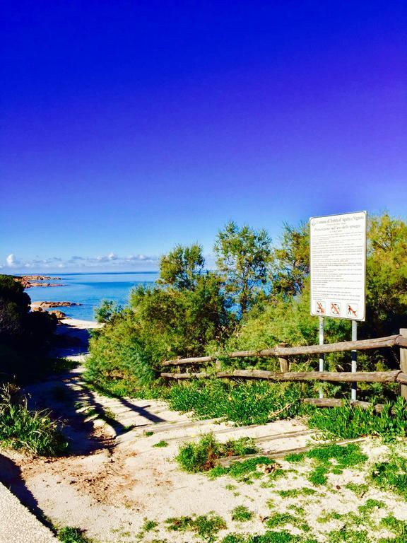 Appartamenti In Villa La Marinedda Isola Rossa Luaran gambar